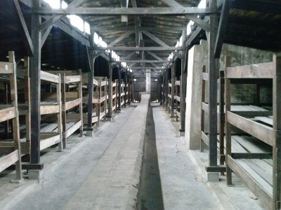Drewniany barak z pryczami piętrowymi dla więźniów (Auschwitz II / Birkenau)